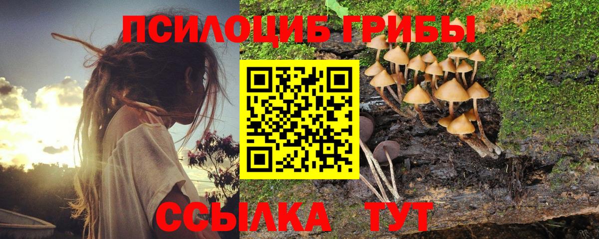 Ялта  Галлюциногенные грибы MAGIC MUSHROOMS  Вход с VPN 